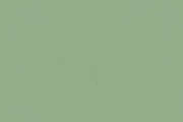 Lavender Cottage Solid Eucalyptus Green Paper